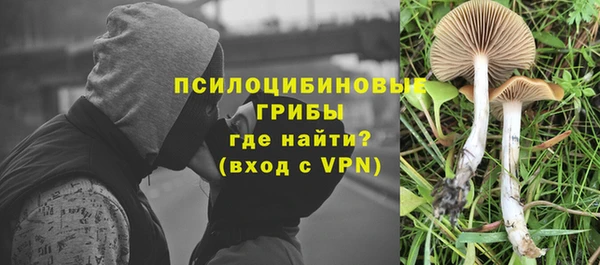 первитин Арсеньев