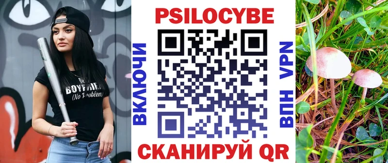 дарнет шоп  Протвино  Псилоцибиновые грибы GOLDEN TEACHER 